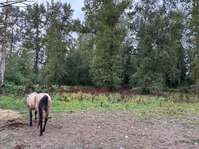 Breakfast Nook Photo of 2617 208 Street, Langley, BC