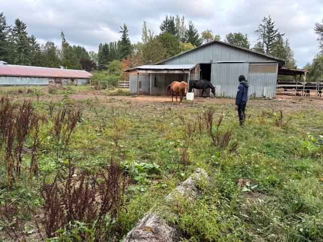 Kitchen Island Photo of 2617 208 Street, Langley, BC
