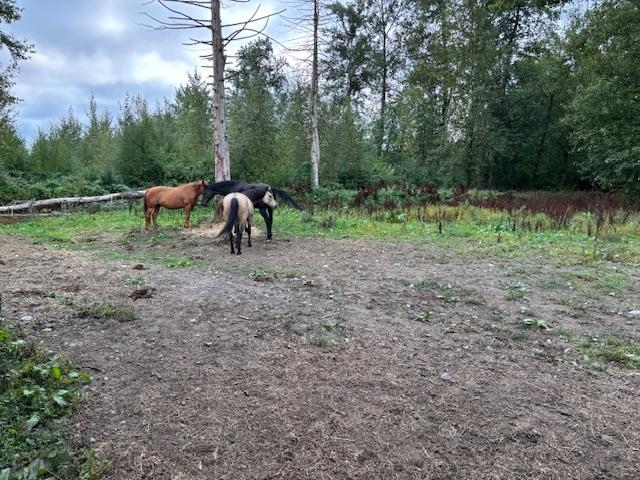 Office / Den Photo of 2617 208 Street, Langley, BC