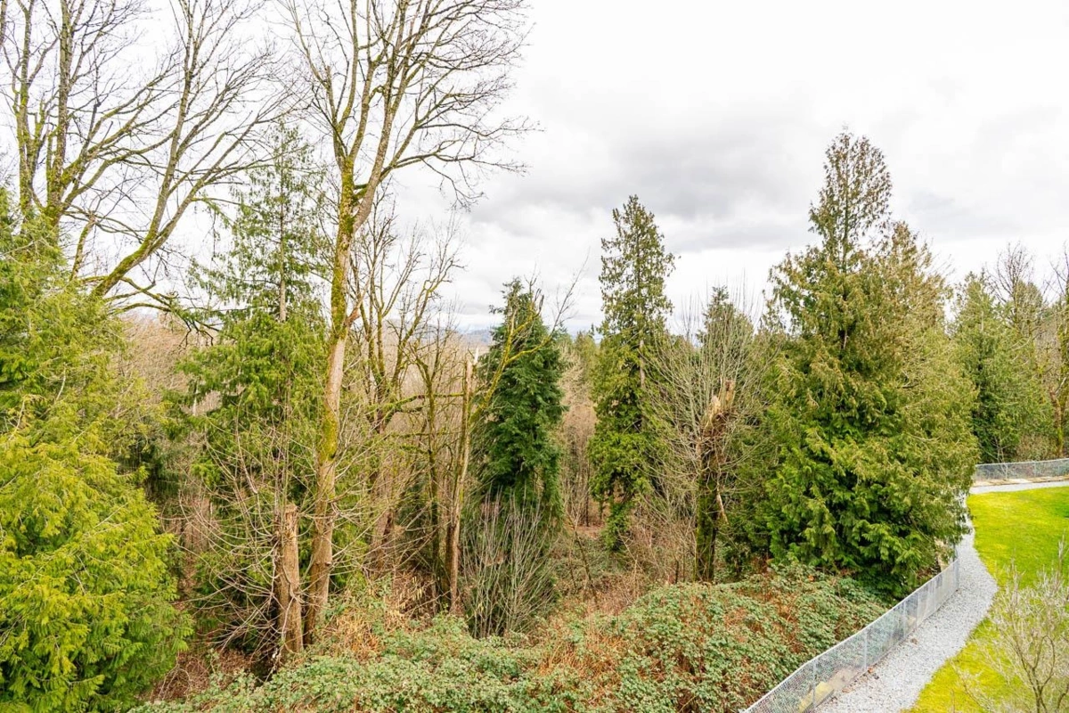 Backyard Photo of 30 3380 Gladwin Road, Abbotsford, BC