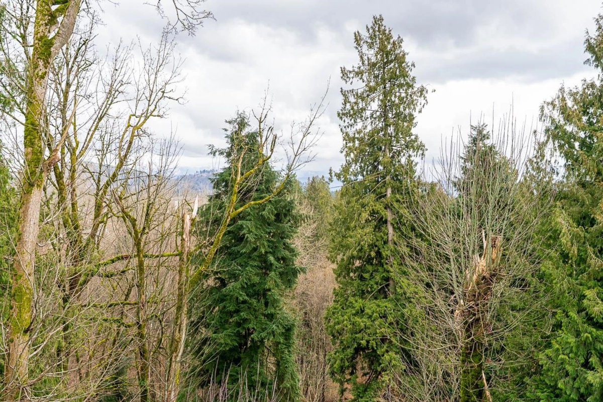 Front Yard Photo of 30 3380 Gladwin Road, Abbotsford, BC