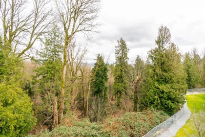 Backyard Photo of 30 3380 Gladwin Road, Abbotsford, BC