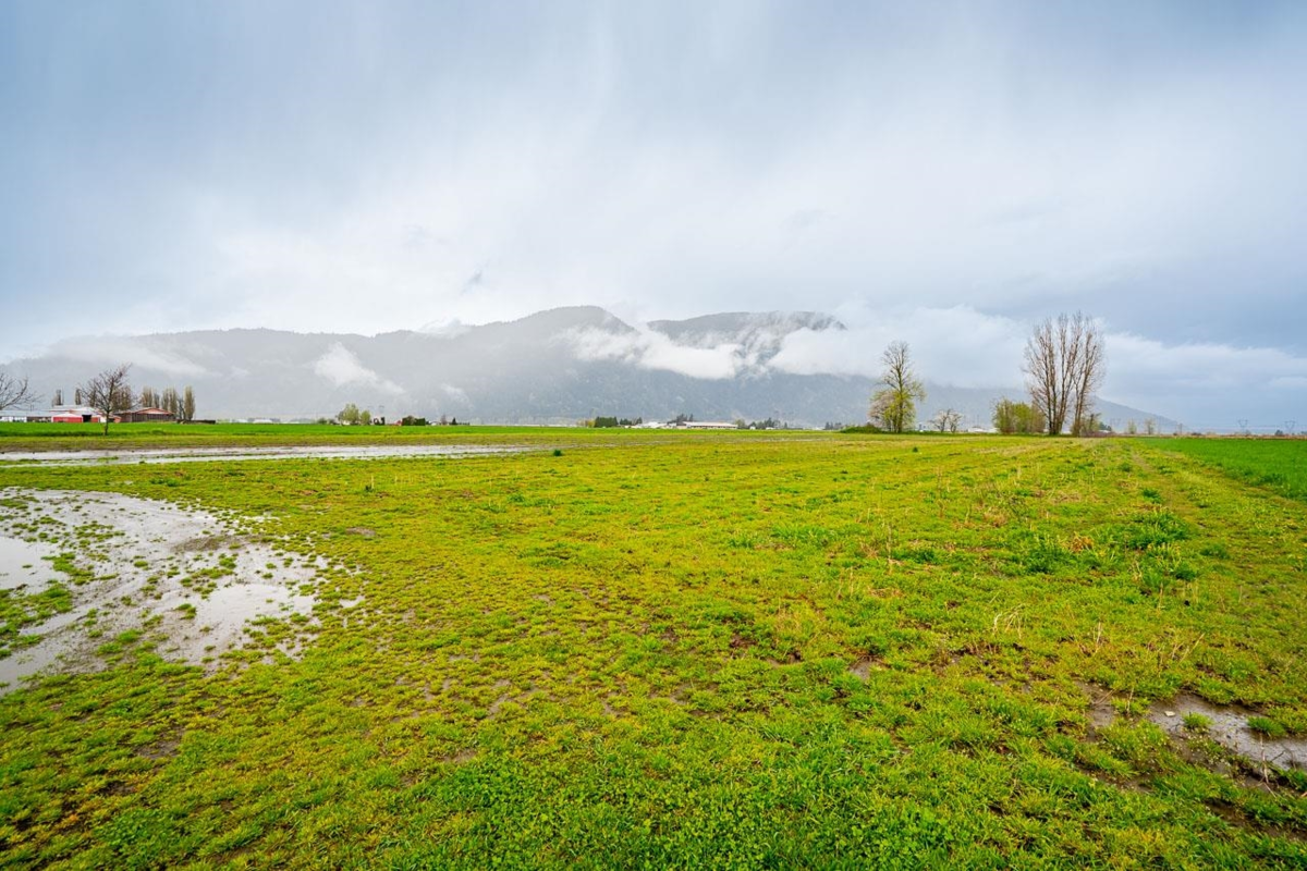 Swimming Pool Photo of 40575 No. 4 Road, Abbotsford, BC