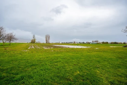 Garden / Landscaping Photo of 40575 No. 4 Road, Abbotsford, BC