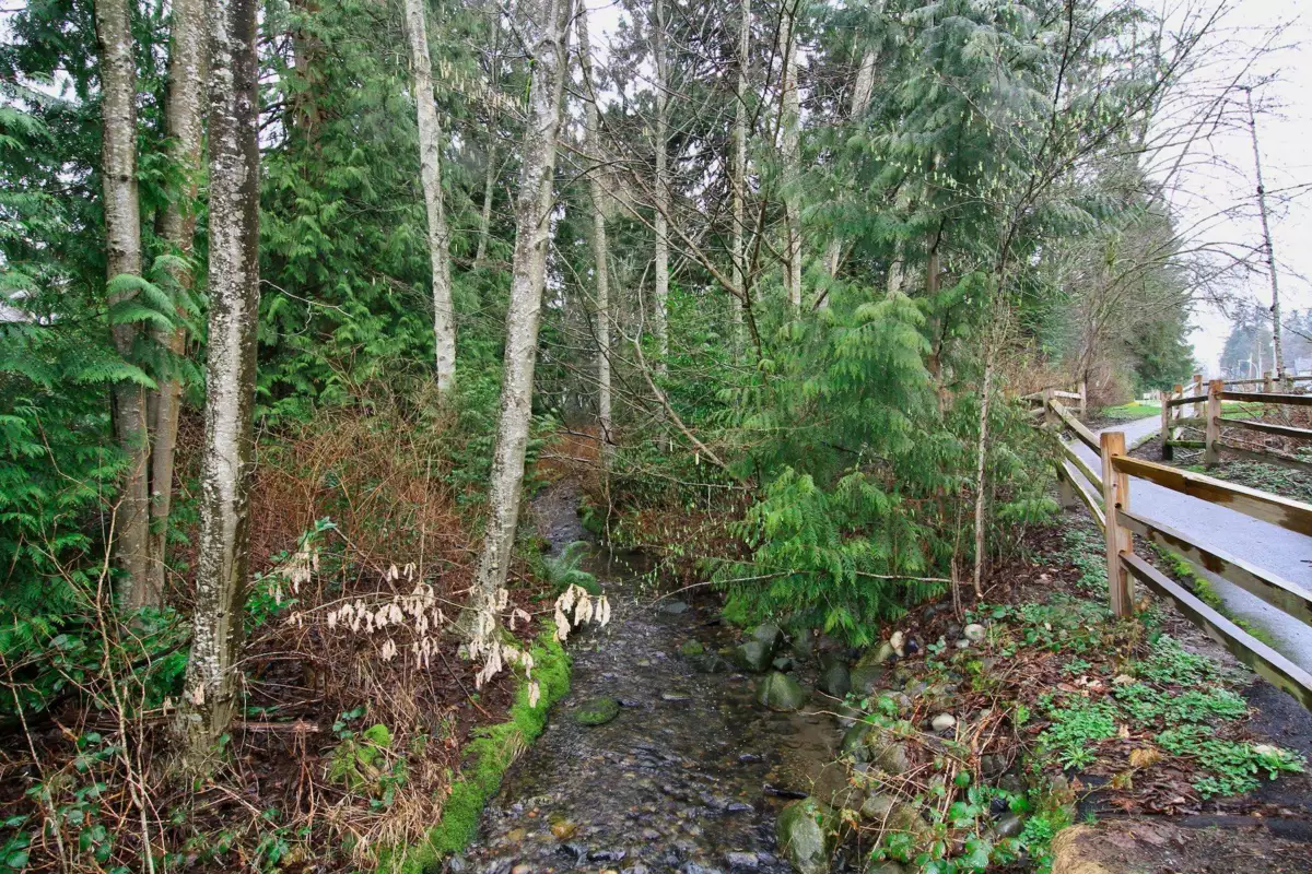 Front Yard Photo of 52 6537 138 Street, Surrey, BC