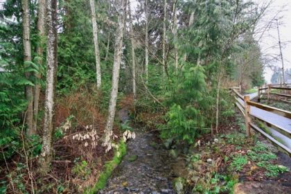 Front Yard Photo of 52 6537 138 Street, Surrey, BC