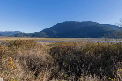 Front Yard Photo of 2 14550 Morris Valley Road, Mission, BC