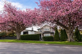 1171 E 29th Avenue, Vancouver, BC