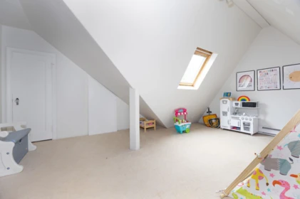 Basement Recreation Room Photo of 524 Second Street, New Westminster, BC