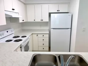 301 7265 Haig Street, Mission, BC, Mission — Apartment/Condo for sale