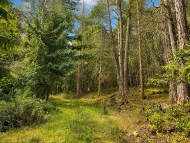 Family Room Photo of 364 Linklater Road, Galiano Island, BC