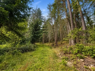 Living Room Photo of 364 Linklater Road, Galiano Island, BC