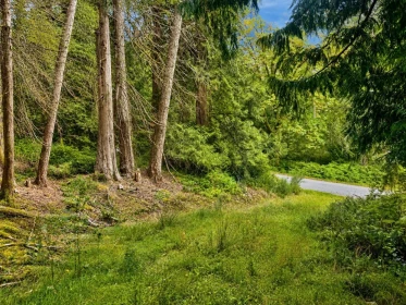 Office / Den Photo of 364 Linklater Road, Galiano Island, BC