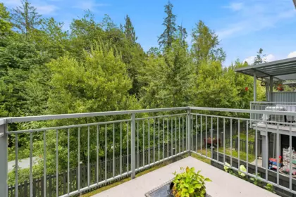 Backyard Photo of 38 24076 112 Avenue, Maple Ridge, BC