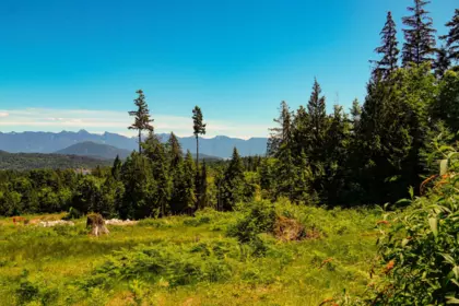 LOT F Panorama Parkway, Gibsons, BC, Gibsons — Land for sale