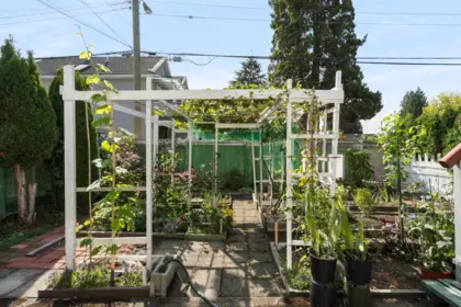 Swimming Pool Photo of 1594 W 68th Avenue, Vancouver, BC