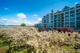 307 5860 Dover Crescent, Richmond, BC