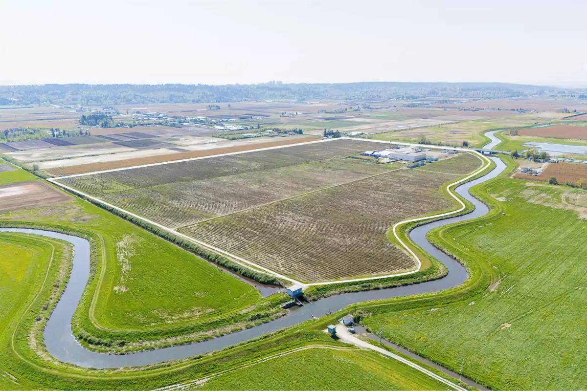 Backyard Photo of 4586 176 Street, Surrey, BC