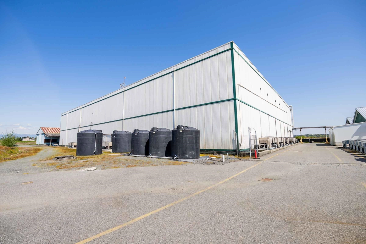 Pantry Photo of 4586 176 Street, Surrey, BC