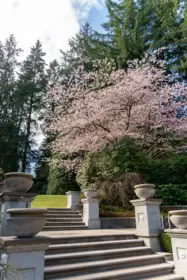 Aerial View of 4778 Drummond Drive, Vancouver, BC