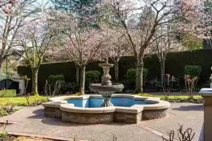 Outdoor Kitchen Photo of 4778 Drummond Drive, Vancouver, BC