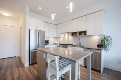 A224 20727 Willoughby Town Centre Drive, Langley, BC, Langley — Apartment/Condo for sale