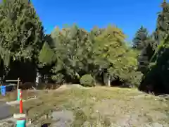 2974 Earls Court, Abbotsford, BC