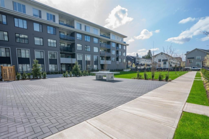 Basement Recreation Room Photo of 514 15825 85 Avenue, Surrey, BC