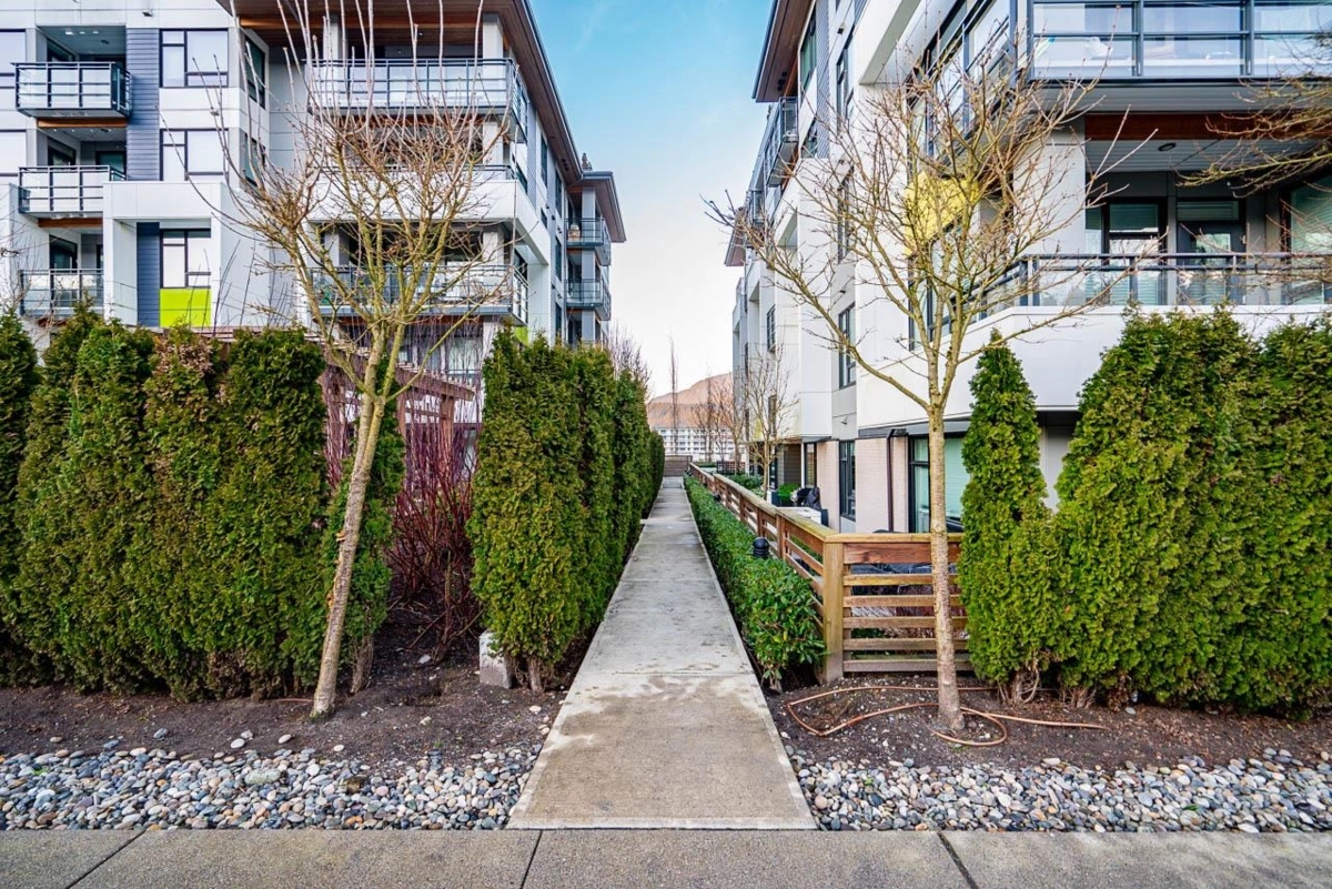 Backyard Photo of 112 3038 St. George Street Street, Port Moody, BC