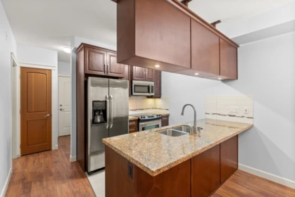Kitchen Photo of 251 8328 207a Street, Langley, BC