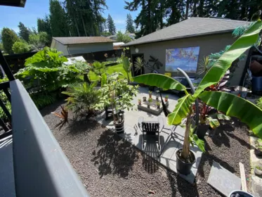 Garden / Landscaping Photo of 928 Stanton Avenue, Coquitlam, BC