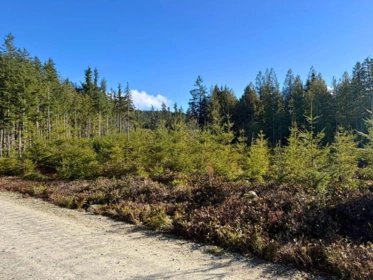 LOT 3 Lockyer Road, Roberts Creek, BC, Roberts Creek — Land for sale