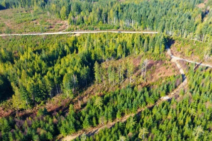 Loft / Bonus Room Photo of LOT 3 Lockyer Road, Roberts Creek, BC