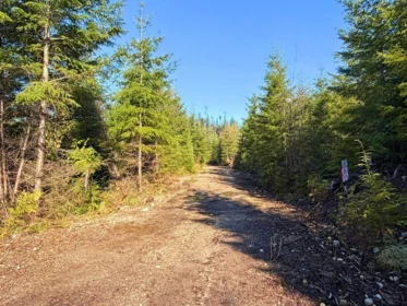Office / Den Photo of LOT 3 Lockyer Road, Roberts Creek, BC