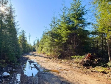 Powder Room Photo of LOT 3 Lockyer Road, Roberts Creek, BC