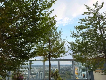 Garden / Landscaping Photo of 4801 3809 Evergreen Place, Burnaby, BC