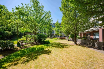 Outdoor Deck Photo of 205 8880 202 Street, Langley, BC