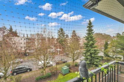 Basement Recreation Room Photo of 304 12083 92a Avenue, Surrey, BC