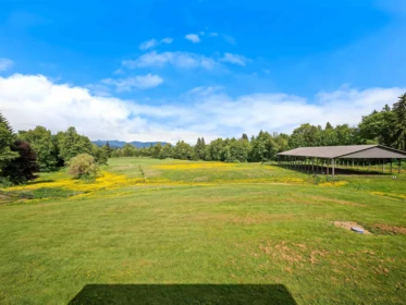 Outdoor Patio Photo of 29598 Galahad Crescent, Abbotsford, BC