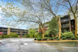 118 9847 Manchester Drive, Burnaby, BC