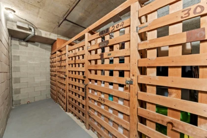 Basement Recreation Room Photo of 204 330 Cedar Street, New Westminster, BC