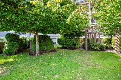 Backyard Photo of 104 19673 Meadow Gardens Way, Pitt Meadows, BC