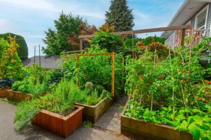 Garden / Landscaping Photo of 104 812 Milton Street, New Westminster, BC