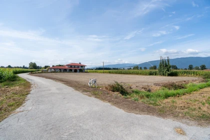 Neighborhood Park Photo Near 14017 Hale Road, Pitt Meadows, BC