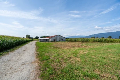 Outdoor Deck Photo of 14017 Hale Road, Pitt Meadows, BC