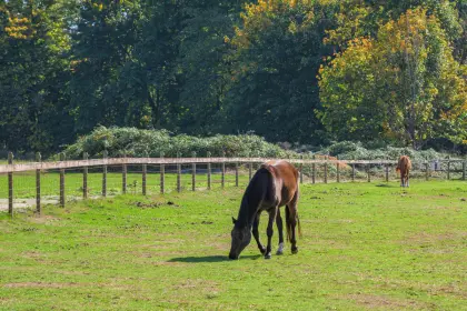 24191 65 Avenue, Langley, BC, Langley — Single Family Residence for sale