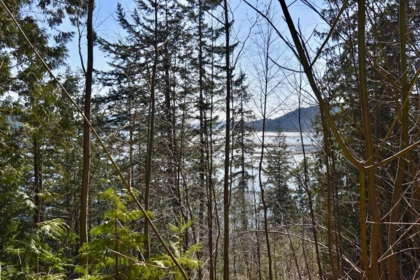 Basement Recreation Room Photo of 37 Lots Witherby Beach Road, Gibsons, BC