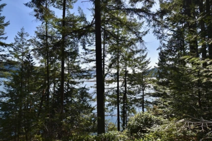 Bedroom 2 Photo of 37 Lots Witherby Beach Road, Gibsons, BC