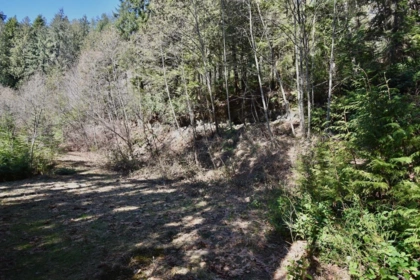 Bedroom 4 Photo of 37 Lots Witherby Beach Road, Gibsons, BC