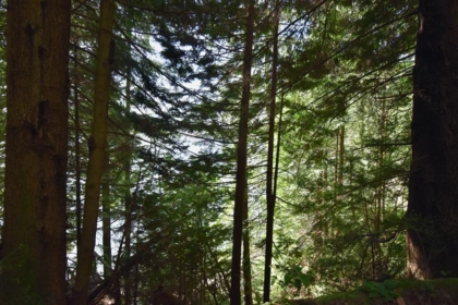 Entry Foyer Photo of 37 Lots Witherby Beach Road, Gibsons, BC